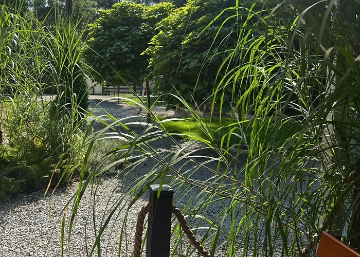 אכסניה Wczasy Wielen *